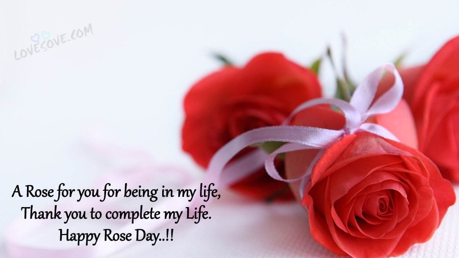 Rose Day Quotes and Pictures