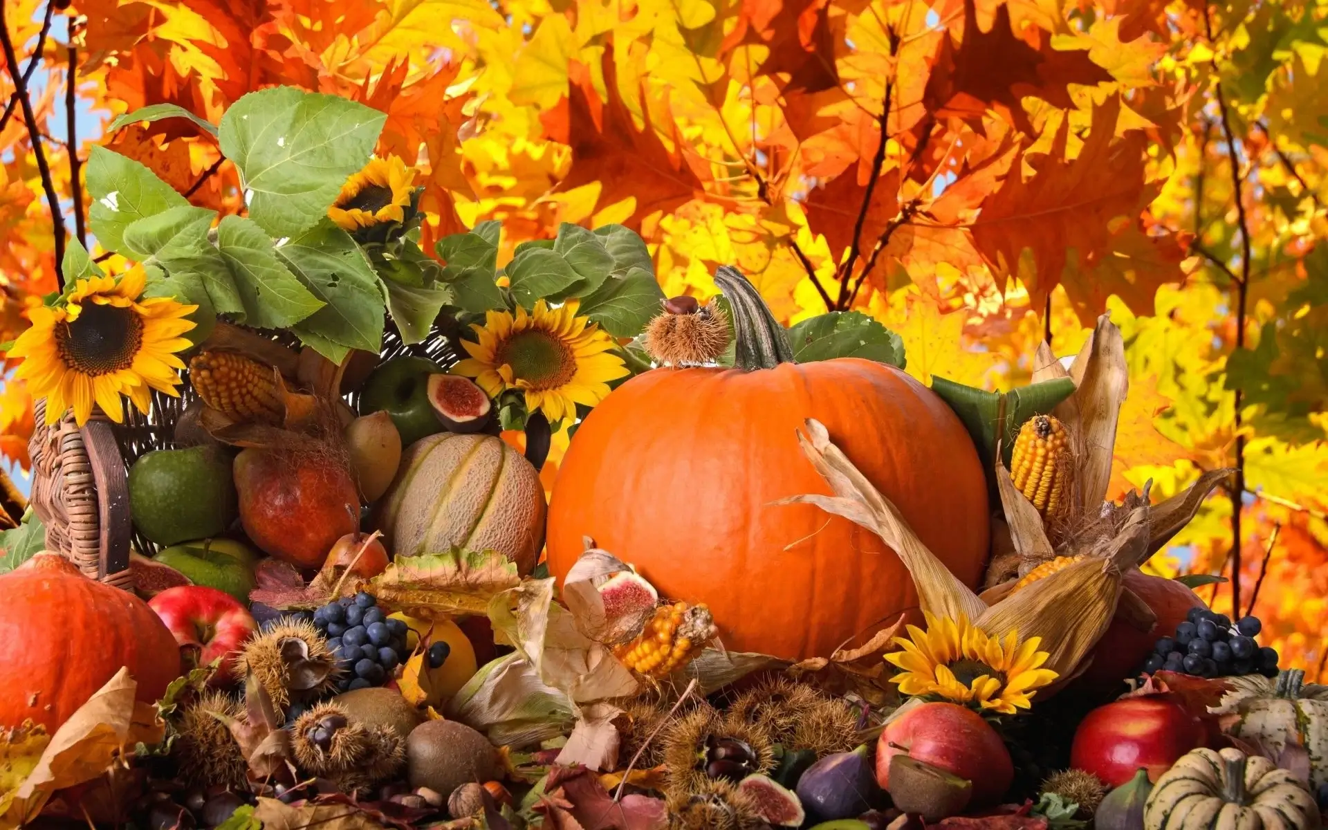Thanksgiving Wallpapers HD Free